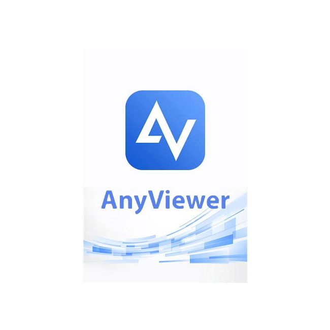 AnyViewer Pro - 1 Year