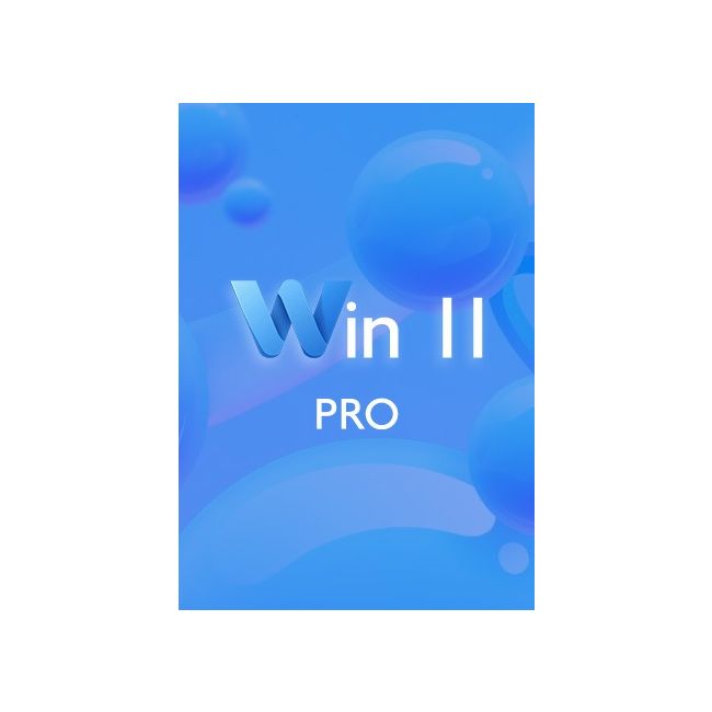 Win 11 Pro OEM CD-KEY